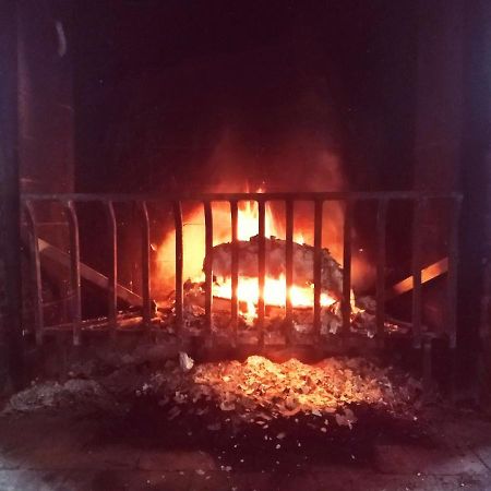 Agriturismo Le Colonie Preganziol Dış mekan fotoğraf